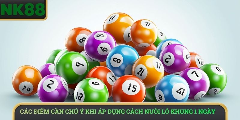 Các điểm cần chú ý khi áp dụng cách nuôi lô khung 1 ngày