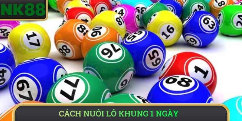Cách nuôi lô khung 1 ngày