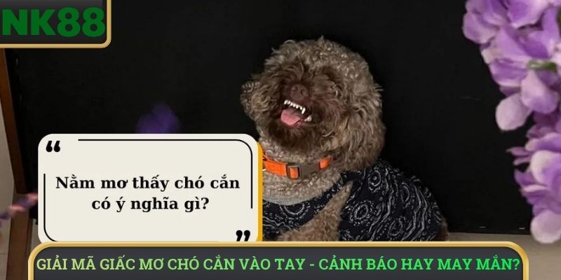 Giải mã giấc mơ chó cắn vào tay - Cảnh báo hay may mắn?