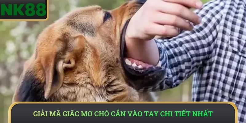 Giải mã giấc mơ chó cắn vào tay chi tiết nhất
