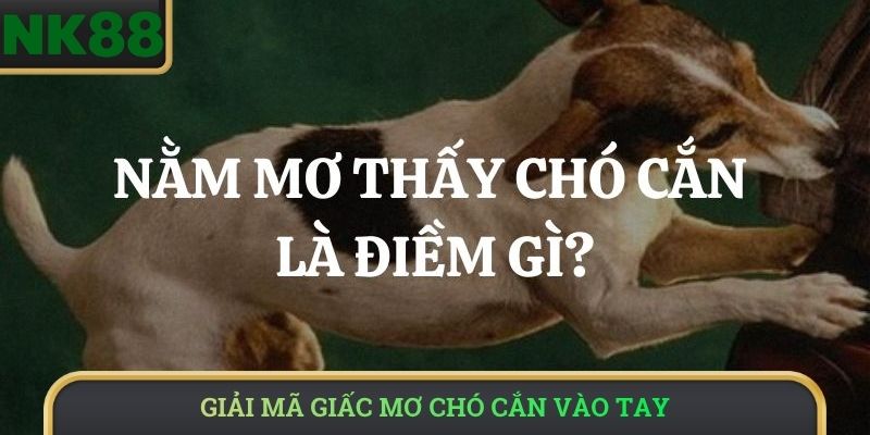 Giải mã giấc mơ chó cắn vào tay